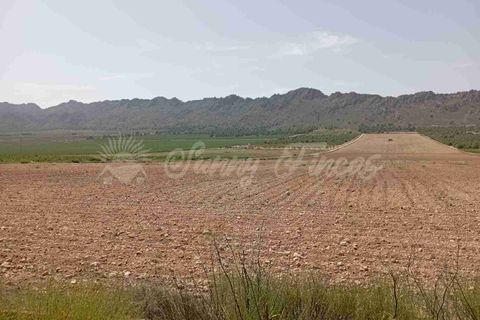 Helårsgrund i Yecla, Murcia, Yecla - € 39.000 | Ref: SF0472 - foto 9